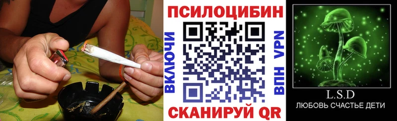 Псилоцибиновые грибы Psilocybe  Купить  Арсеньев 