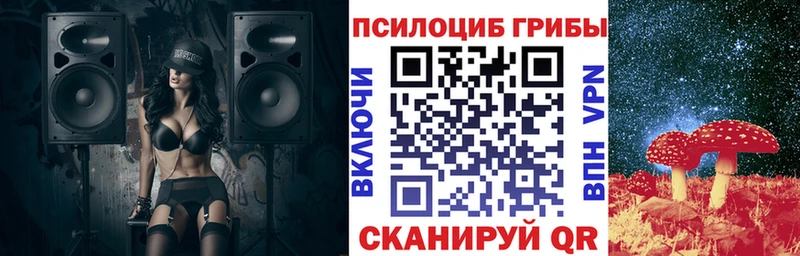 Псилоцибиновые грибы Psilocybine cubensis Арсеньев